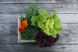Korb mit frischer Ernte von verschiedenen Salaten, essbaren Blüten und Fenchel