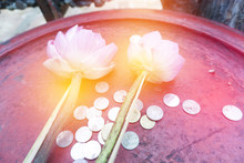 Pastel Orange Light On Pink Lotus With Coins In The Tray At Temple