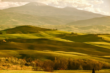  Spring landscape in the hills of Tuscany Italy, land of Brunello wine