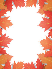 Wall Mural - autumn leaves background. frame of vector maple leaves. template for autumn banner, poster, ad, card