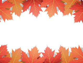 Wall Mural - autumn background. frame of vector maple leaves. template for autumn banner, poster, ad, card.