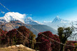 Beautiful view of Annapurna Himalayas Massif seen from Tadapani Village in the Gandaki Zone Nepal.