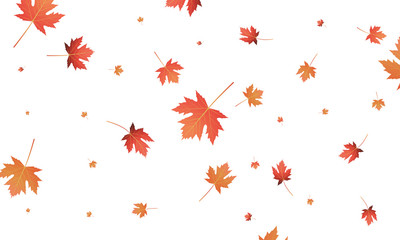 Wall Mural - autumn maple leaves background. falling autumn leaves banner template