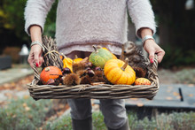 Hands Of A Woman With A Basket Of Autumn Decorations