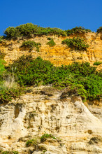 Seaside Sandstone Hillside Covered With Grass And Bushes, Geology, The Power Of Nature