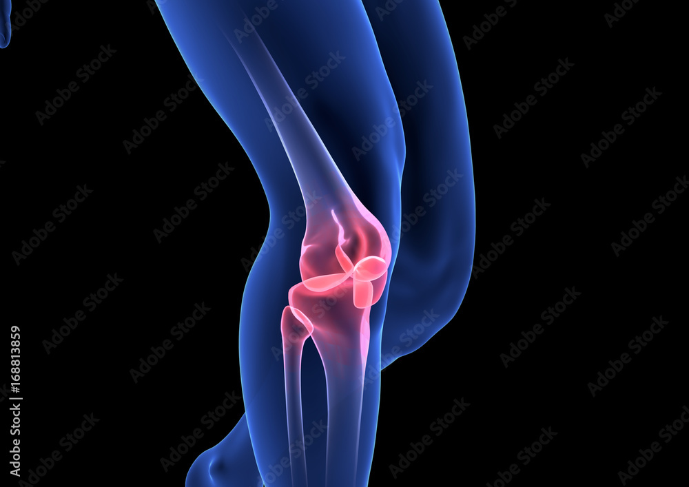 Knee Pain. Blue Human Anatomy Body 3D render on black background - obrazy, fototapety, plakaty 