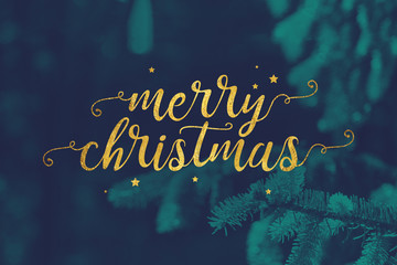 Wall Mural - gold merry christmas script and stars with evergreen branches background