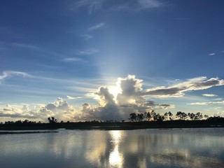 Wall Mural - sunset in the everglades marshes of Florida