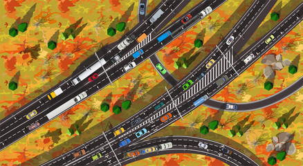 Canvas Print - Top view huge autobahn expressway with traffic in autumn yellow leaves on the trees