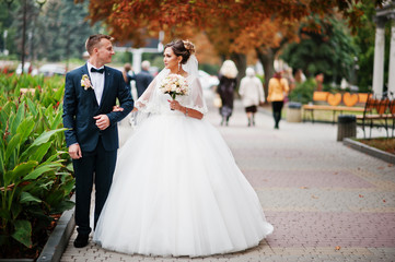 Good-looking newly married couple walking and enjoying each other's company in the park on a bright and sunny wedding day.