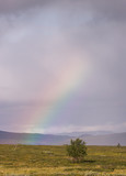 Fototapeta Tęcza - Rainbow above the flat mountain