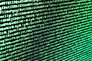 the program code is the characters, numbers and letters on the computer screen. macro with visible p