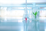 Fototapeta  - green tissue plant culture in bottle glass with thermometer in flask at climate change research laboratory