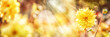 Leinwandbild Motiv Yellow Dahlia, Bee, Summer Background
