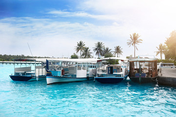 Wall Mural - Modern boats berthed at tropical resort