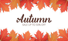 Autumn Sale. Banner With Maple Leaves Frame And Trendy Autumn Brush Lettering. Seasonal Fall Sale Card