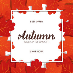 Wall Mural - autumn sale. banner with maple leaves frame and trendy autumn brush lettering. seasonal fall sale ca