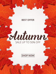 Wall Mural - autumn sale. banner with maple leaves frame and trendy autumn brush lettering. seasonal fall sale ca