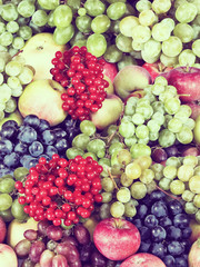 Wall Mural - image of many fruit in garden closeup