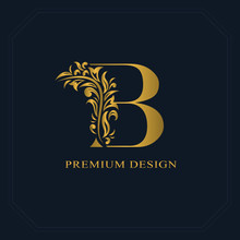 Gold Elegant Letter B. Graceful Style. Calligraphic Beautiful Logo. Vintage Drawn Emblem For Book Design, Brand Name, Business Card, Restaurant, Boutique, Hotel. Vector Illustration