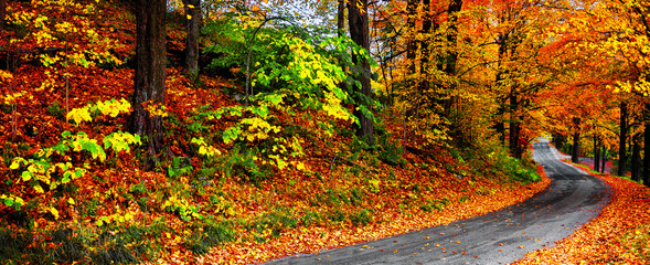 autumn landscape with bright colorful orange and red trees and leaves along a winding country road. 