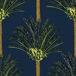 Vector drawn cycas palm tree seamless pattern on blue background in a sketch style. Exotic collection.