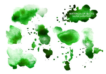 Wall Mural - Set of green watercolor spots isolated on white background.