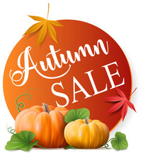 Autumn Sale Offer Button