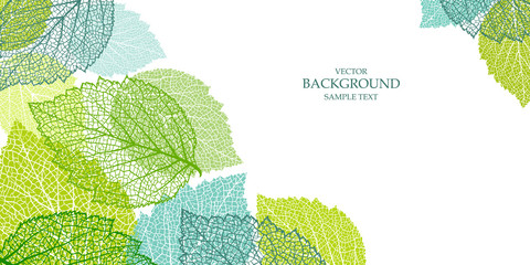Wall Mural - background with leaves
