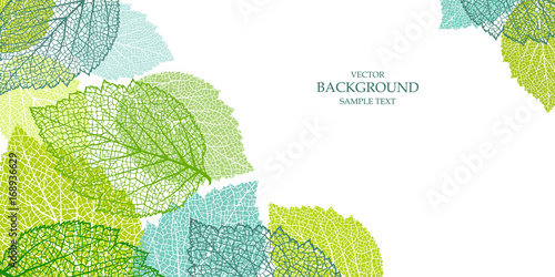 Background with leaves