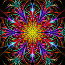 Bright Multicolored Fractal Flower Or Snowflake On Black Background