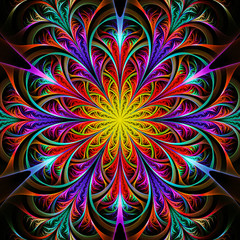 Wall Mural - Bright multicolored fractal flower or snowflake on black background