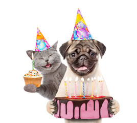 Funny puppy and kitten in party hats holding cupcake and birthday cake with many burning candles. isolated on white background