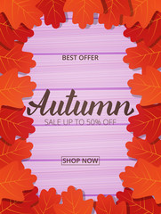 Wall Mural - autumn sale. banner with oak leaves frame and trendy autumn brush lettering. seasonal fall sale card