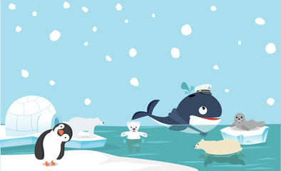 North pole animal background