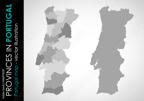 Fotografie, Obraz Vector map of Portugal and provinces GRAY