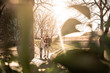 © liderina - Happy couple enjoying in the park.  Young couple walking trough the park.