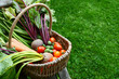 Woven basket filled with freshly harvested vegetables from an allotment