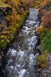 Schlucht der Driva im Herbst, Dovrefjell, Norwegen