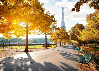 Fototapete - Sunny morning in Paris in autumn
