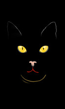 Chat Noir Dans Le Noir
