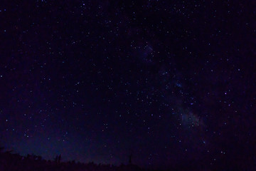 Wall Mural - Many starts on blue dark night sky as a cosmos background.