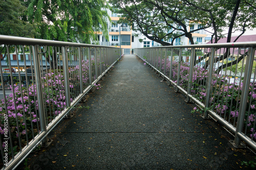 Pedestrian Overpass Walkway With Pink Flowers And Steel Handrails Singapore Buy This Stock Photo And Explore Similar Images At Adobe Stock Adobe Stock