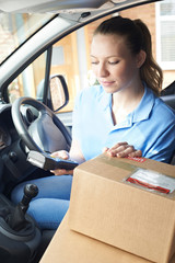 Wall Mural - Female Courier In Van Delivering Package To House