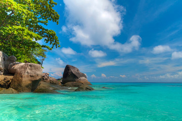 Wall Mural - Tropical scenery of Similan islands, Thailand