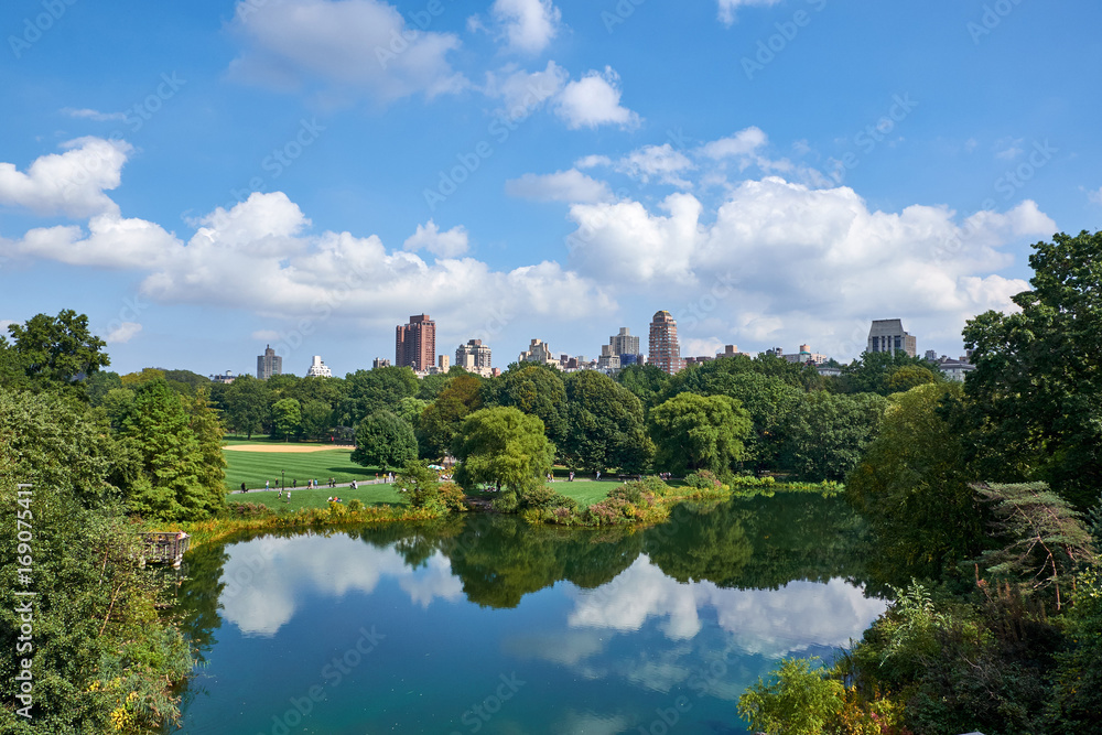 Foto De Stock Huge Green Lawn In Central Park With Trees Bushes And foto-de-stock-huge-green-lawn-in-central-park-with-trees-bushes-and