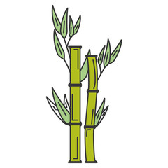  bamboo plant nature icon vector illustration design