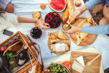 Picnic set with fruit, cheese, toast, honey, wine with a wicker basket and a blanket. Beautiful summer background with girl and products on nature