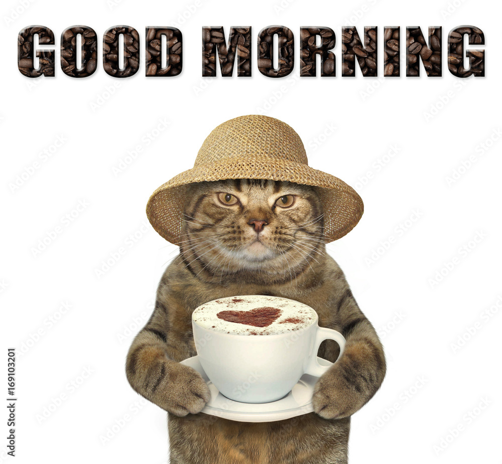 The cat is holding a big cup of black coffee. White background. Stock Photo  | Adobe Stock