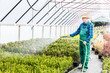 © Photocreo Bednarek - Senior gardener watering plants in a greenhouse.